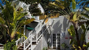 A white building with a staircase leading to a door, surrounded by large tropical plants.