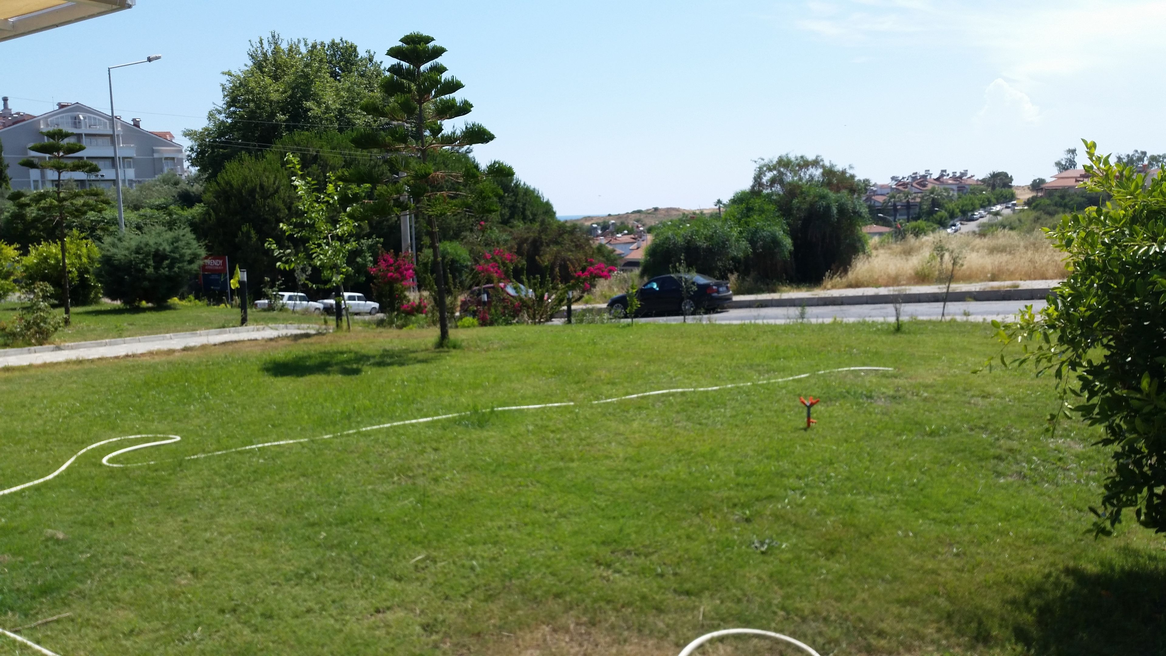 A grassy area with a hose, trees, and a road in the background.