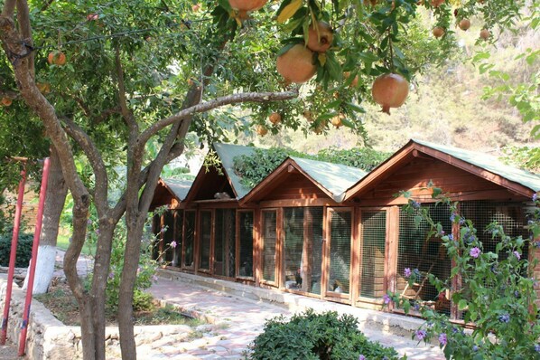 المنشأة من الخارج