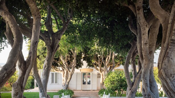 Unclassified image, 1 of 60, button - Il Giardino Ritrovato (Marsala)