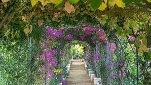 Unclassified image, 5 of 60, button - Il Giardino Ritrovato (Marsala)