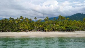 Une plage bordée de palmiers, avec une montagne en arrière-plan.