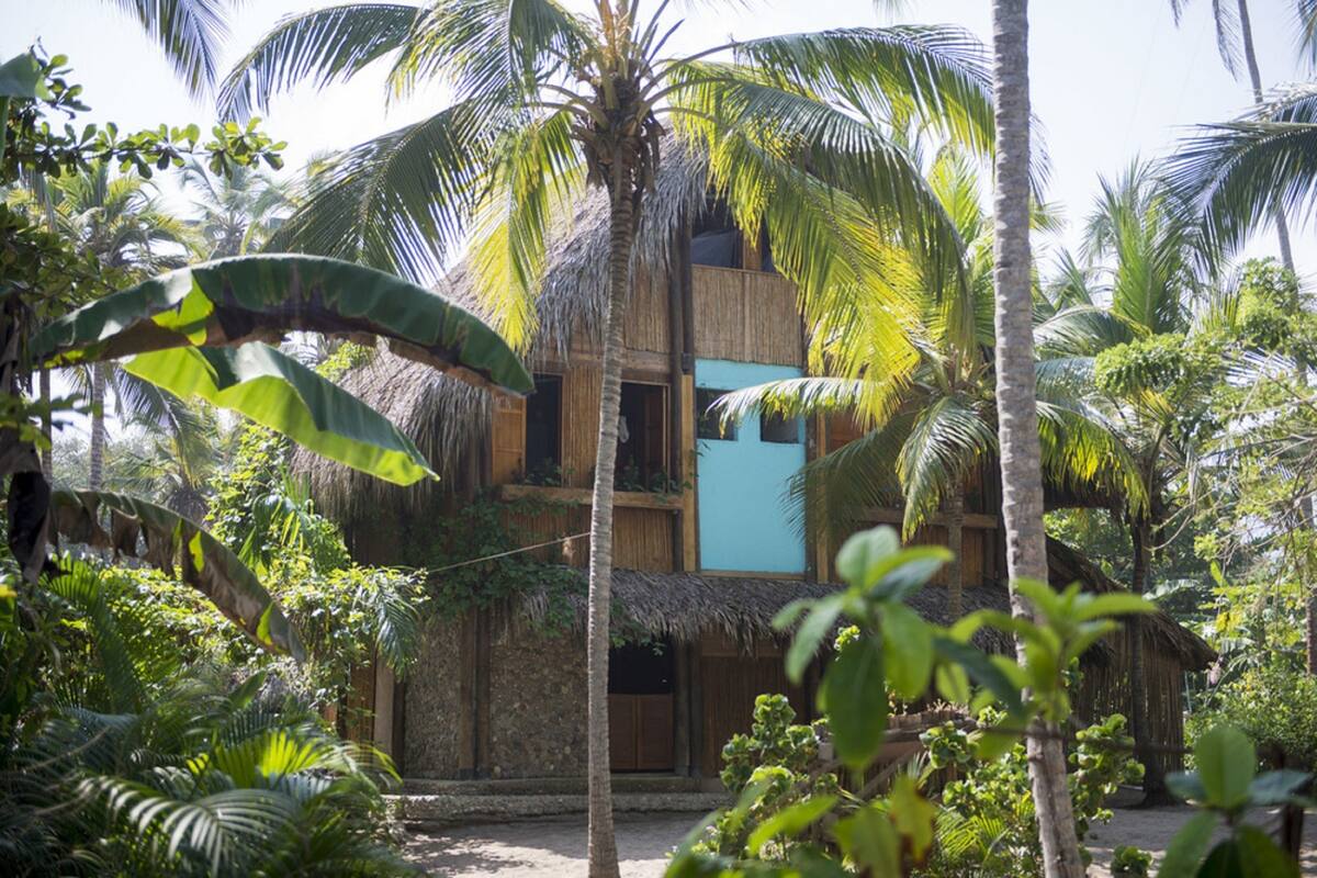 A rustic building with a thatched roof, surrounded by lush tropical vegetation.