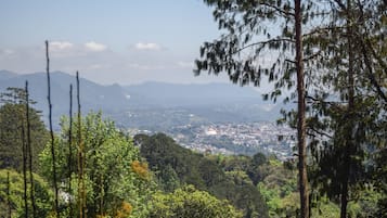Vista desde la propiedad