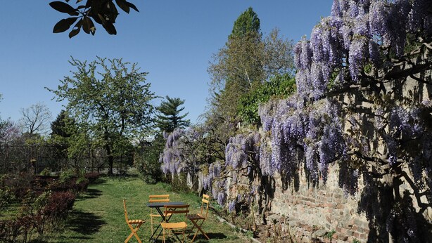 A garden with a brick wall covered in purple flowers, a grassy area, and a table with chairs. - Oasi di Cavoretto 97 - Casa per Ferie (Turin)