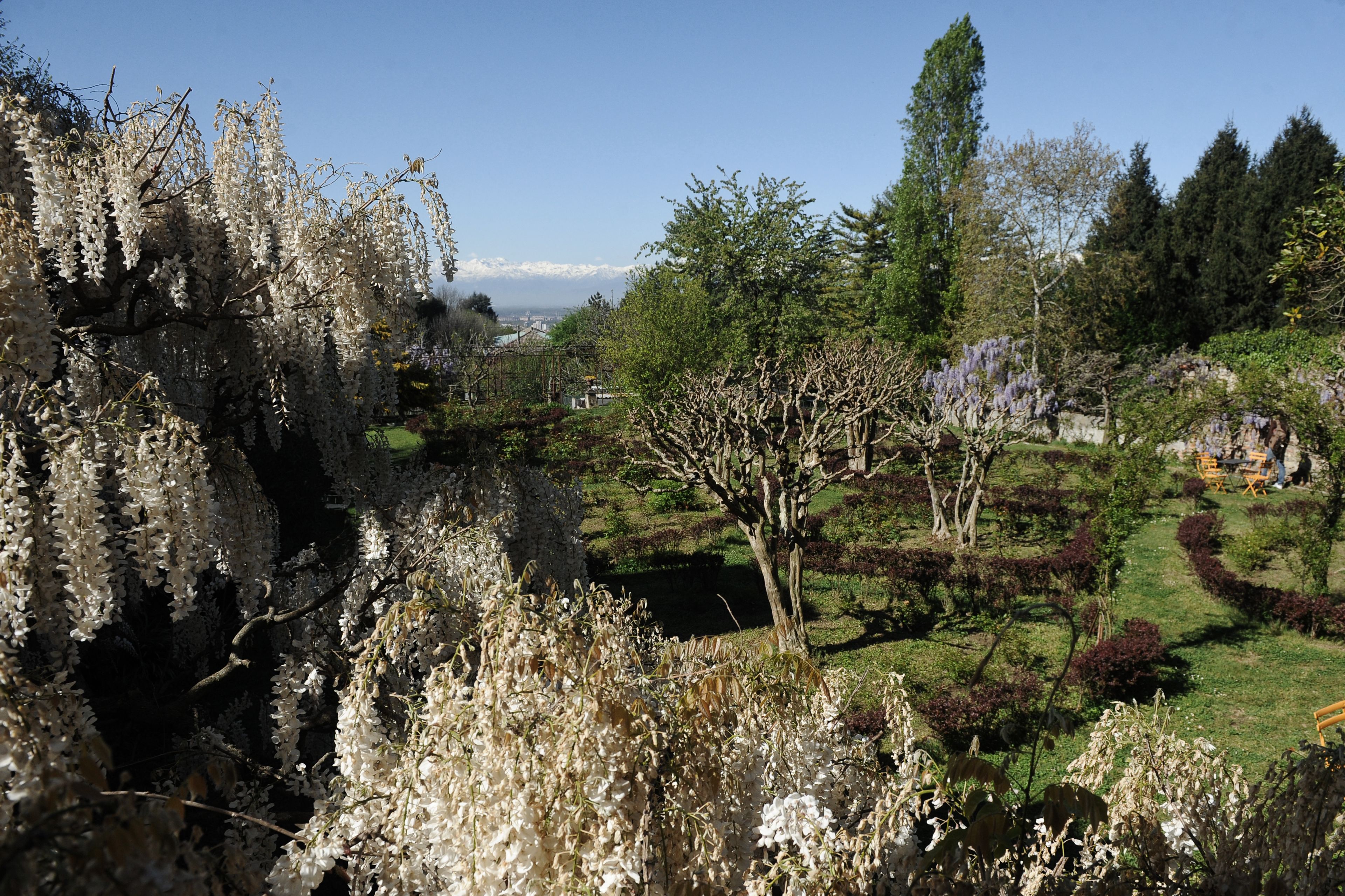 Foto - Oasi Di Cavoretto