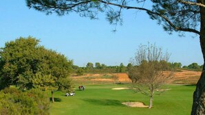 A golf course with a clear sky, a large tree, and a sand bunker. - Quiet house in the garrigue, 20 minutes from the beach (6 people) (Béziers)