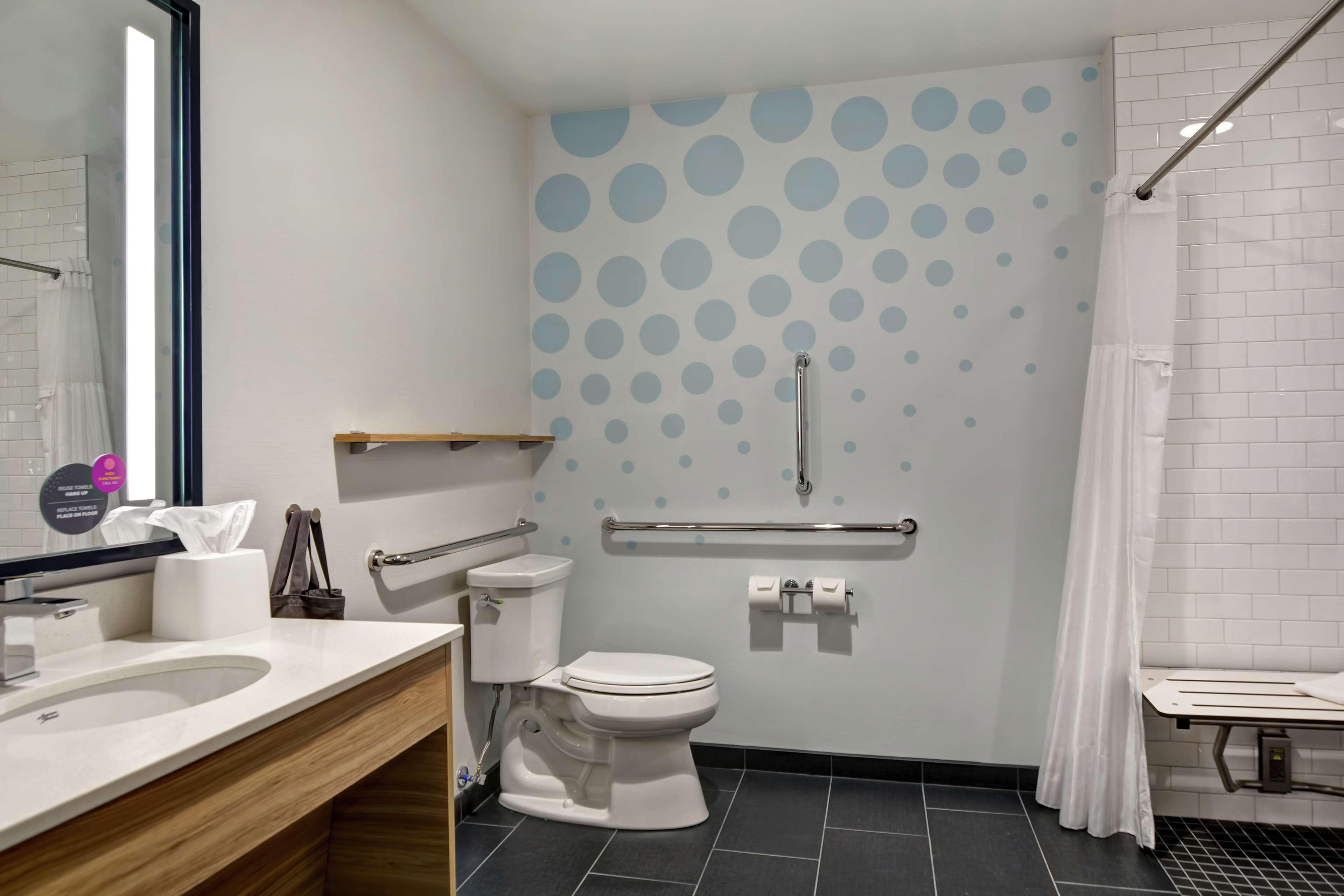 room, 1 king bed, accessible (hearing) | bathroom shower