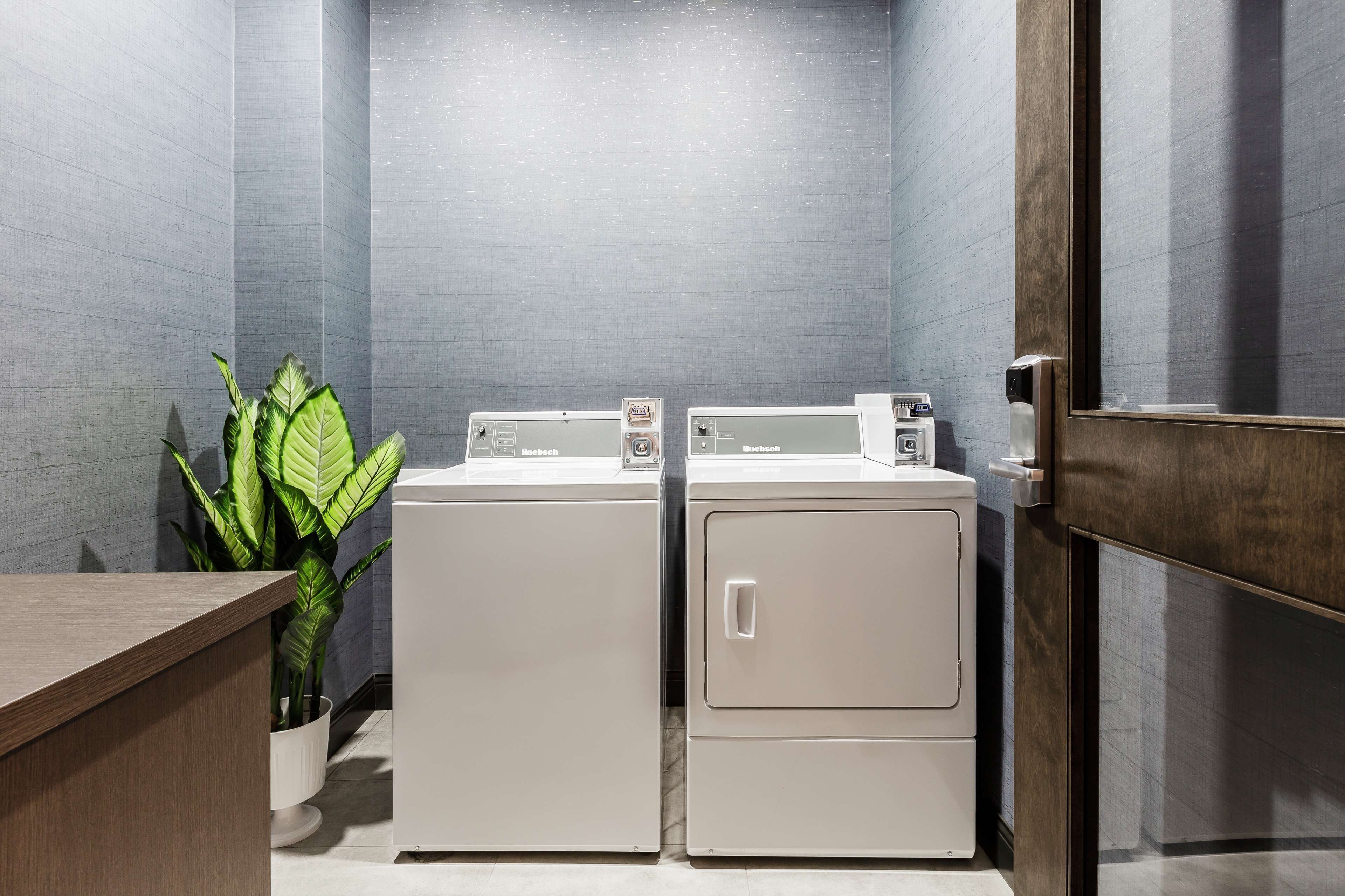 A laundry area with two front-loading washing machines, a potted plant, and a wooden counter.