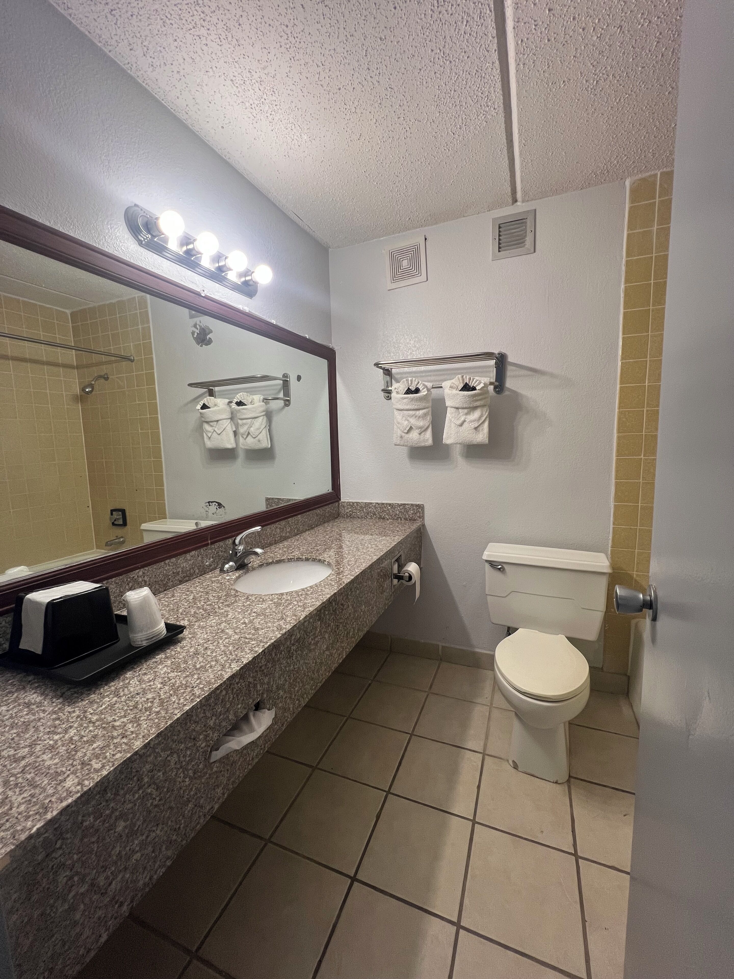 A bathroom with a granite countertop, a sink, a toilet, and a mirror.