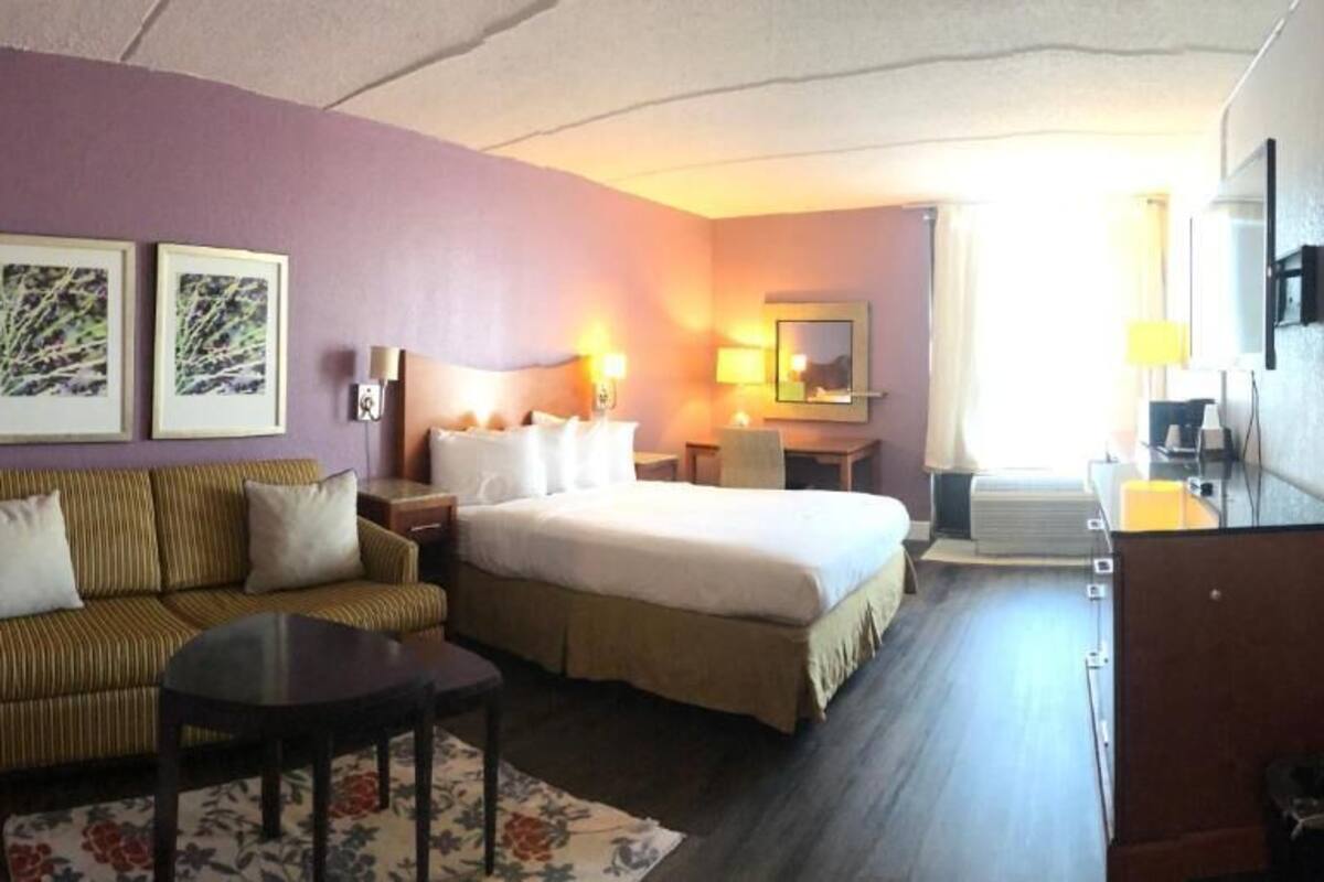 Business Single Room, 1 Double Bed, Non Smoking