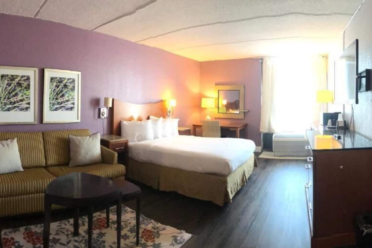 Business Single Room, 1 Double Bed, Non Smoking | 1 bedroom, down comforters, desk, laptop workspace