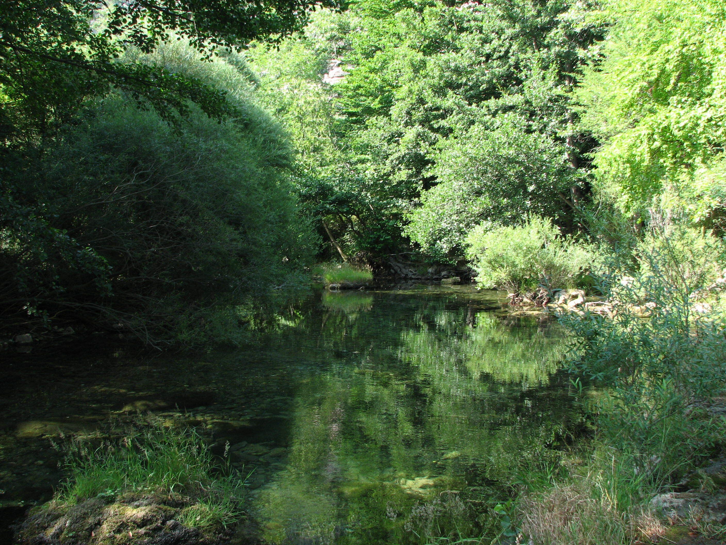 A natural landscape with a calm river, dense greenery, and a rocky area.