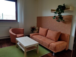 Älytelevisio, takka, stereot, työhuone