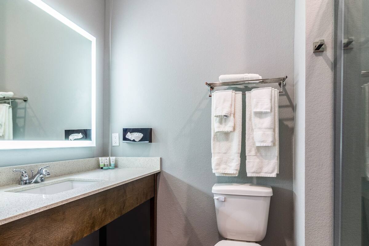 A modern bathroom with a large mirror, a sink, a toilet, and a glass shower enclosure.