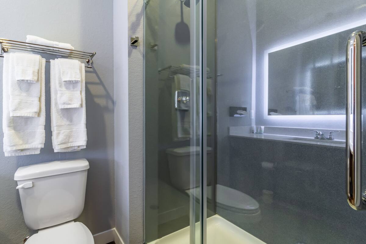 A bathroom with a glass-enclosed shower, a toilet, and a sink with a mirror above it.