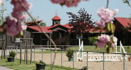 Ferienwohnung im Herzen Mecklenburg Vorpommerns