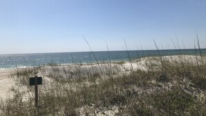 Una playa con dunas de arena y vegetación escasa.