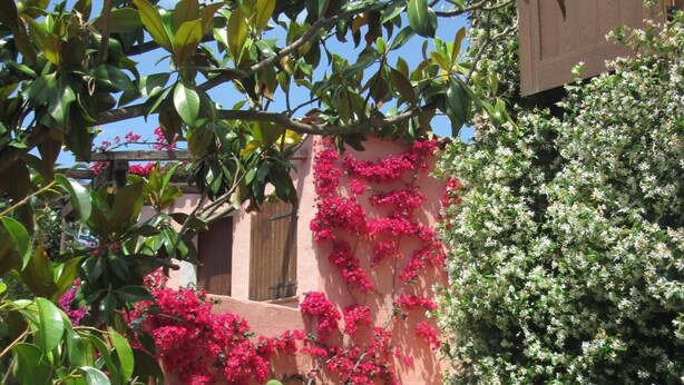 A garden with a pathway leading to a building with pink flowering vines. - Bed and Breakfast Dessole (Olbia)