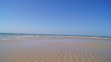 Plage à proximité, chaises longues, serviettes de plage
