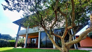 A modern house with a covered outdoor seating area and a large tree in the foreground.