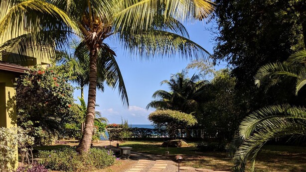A garden with a palm tree, a pathway, and a view of the sea. - Gems at CrystalCove (Ocho Rios)