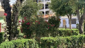 Detalhe da fachada