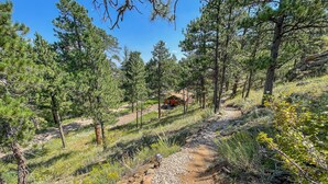 A gravel path leading through a forested area with pine trees and a small cabin in the distance. - Mountain Cabin Overlooking Breathtaking Riverfront and Valley Views  (Estes Park)