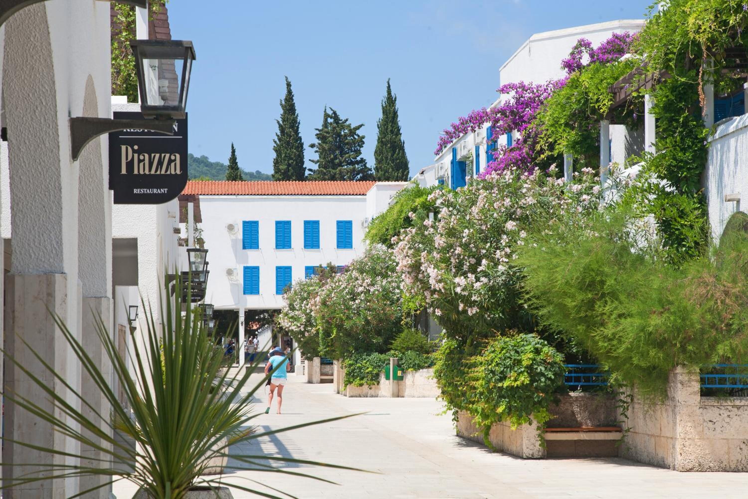 المنطقة المحيطة بالمنشأة