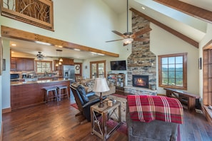 Smart TV, fireplace, books