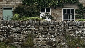 A stone wall with a garden in front of a stone building with windows and a door. - Victorian cottage, large gardens, near river, Hadrian's Wall & Allendale (Allendale)