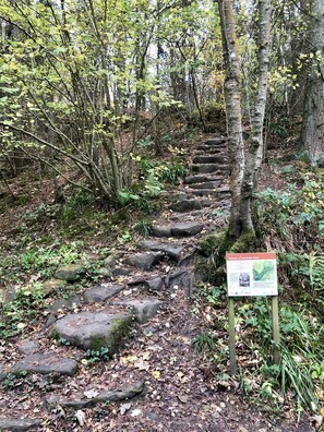 Terrain de l’hébergement 