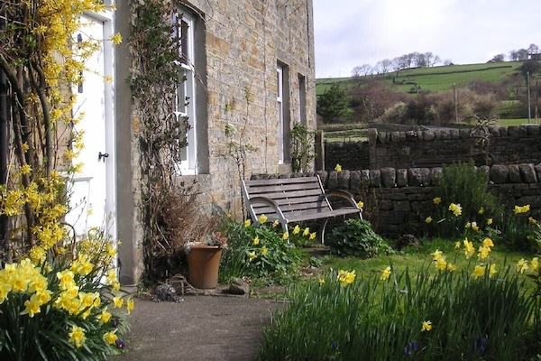 Spring time at Allen Mill