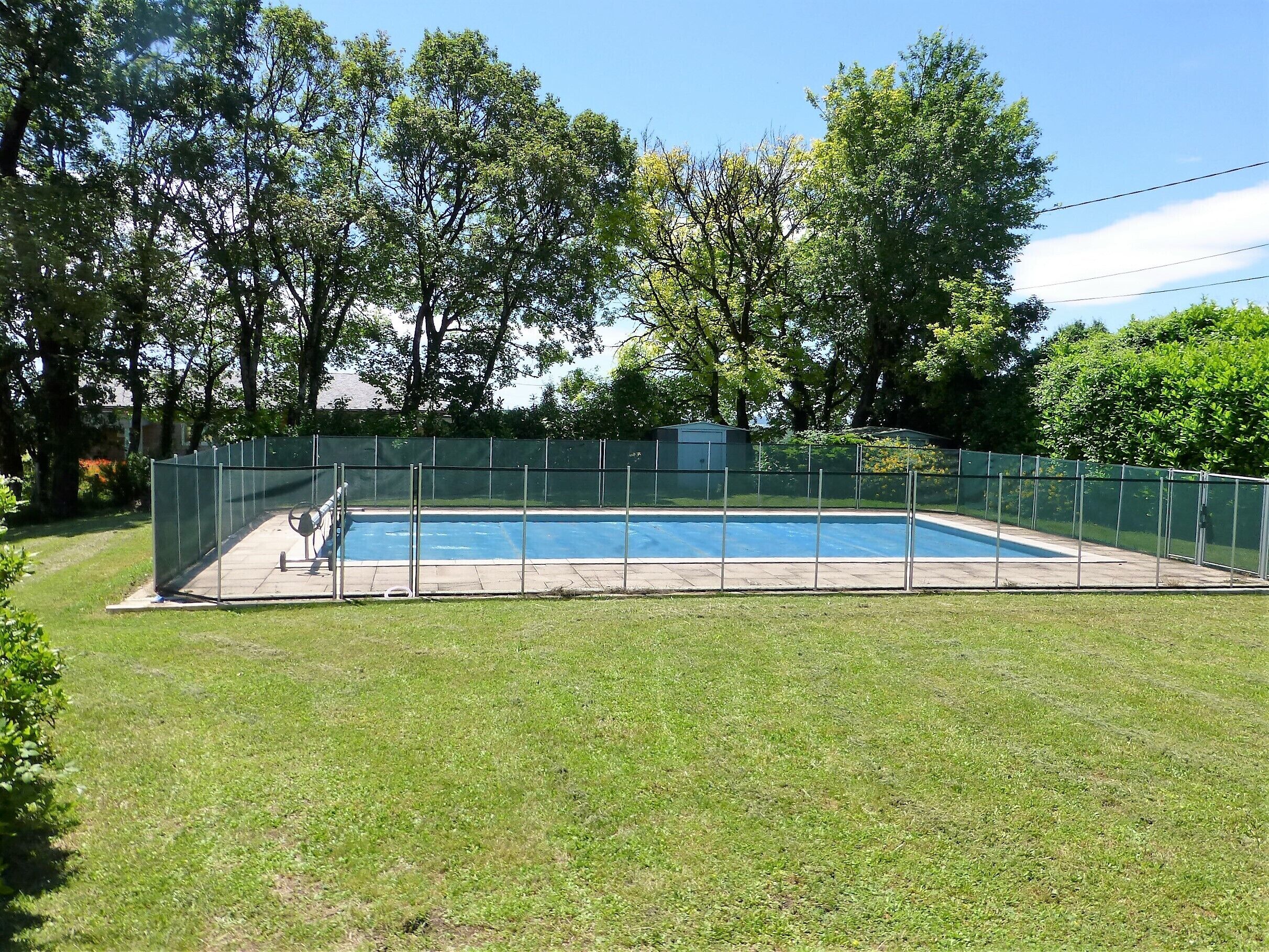 Une piscine rectangulaire entourée d’une clôture verte, avec une pelouse au premier plan et des arbres en arrière-plan.