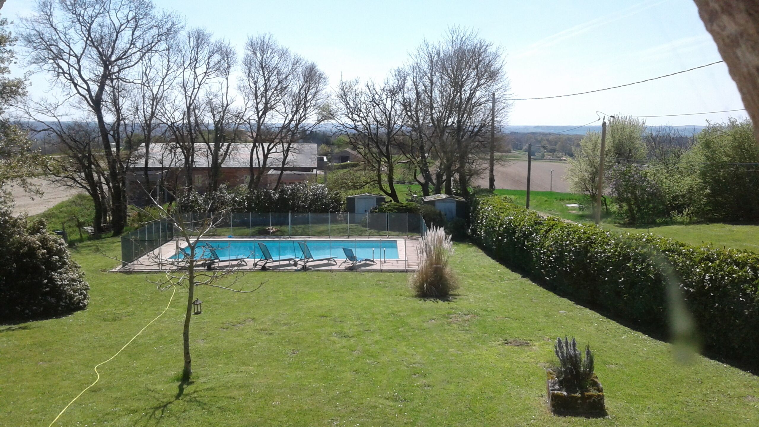 A backyard with a swimming pool, surrounded by a fence and trees.