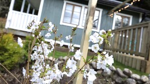 Une maison avec une terrasse en bois et un mur de pierre en arrière-plan.
