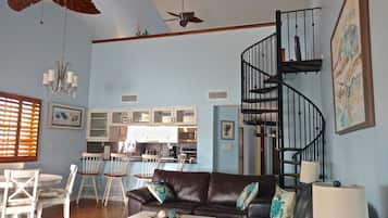Smart TV, fireplace, DVD player, books