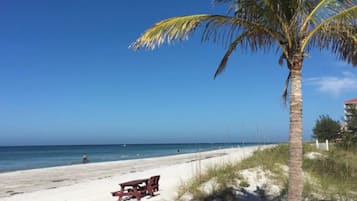 在海滩、沙滩椅、沙滩毛巾