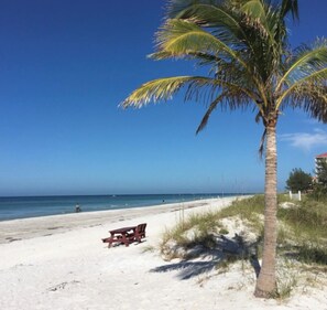 On the beach, sun-loungers, beach towels
