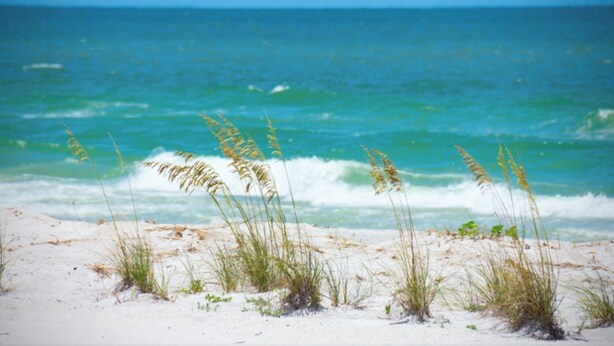 Ein Strand mit Sand und Seetang.