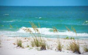 A beach with sand and seaweed.