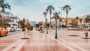 Una amplia plaza pública con suelo de baldosas, palmeras y edificios modernos al fondo.
