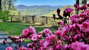 Une terrasse en bois offrant une vue sur un paysage montagneux.