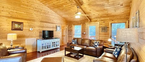 Smart TV, chimenea, reproductor de DVD, libros