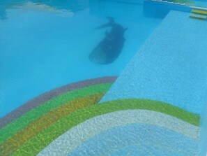Outdoor pool - Blue Horizons Guest House - Studio # 11 (Warwick)