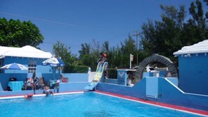 Una piscina con tobogán, torre de salvavidas y zona de descanso cubierta.