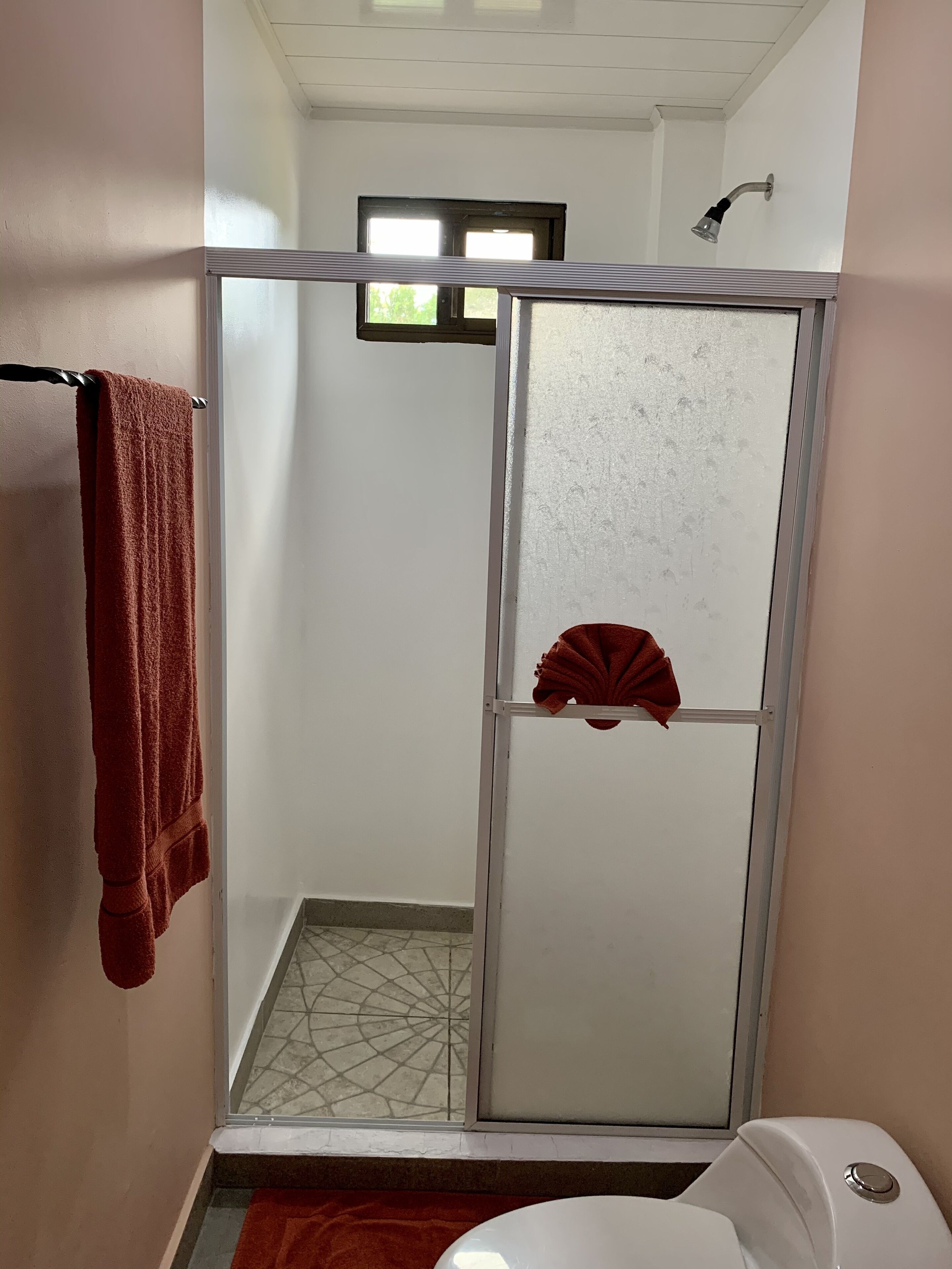 Casa de banho com cabine de duche em vidro, sanita branca e toalha vermelha pendurada num porta-toalhas.