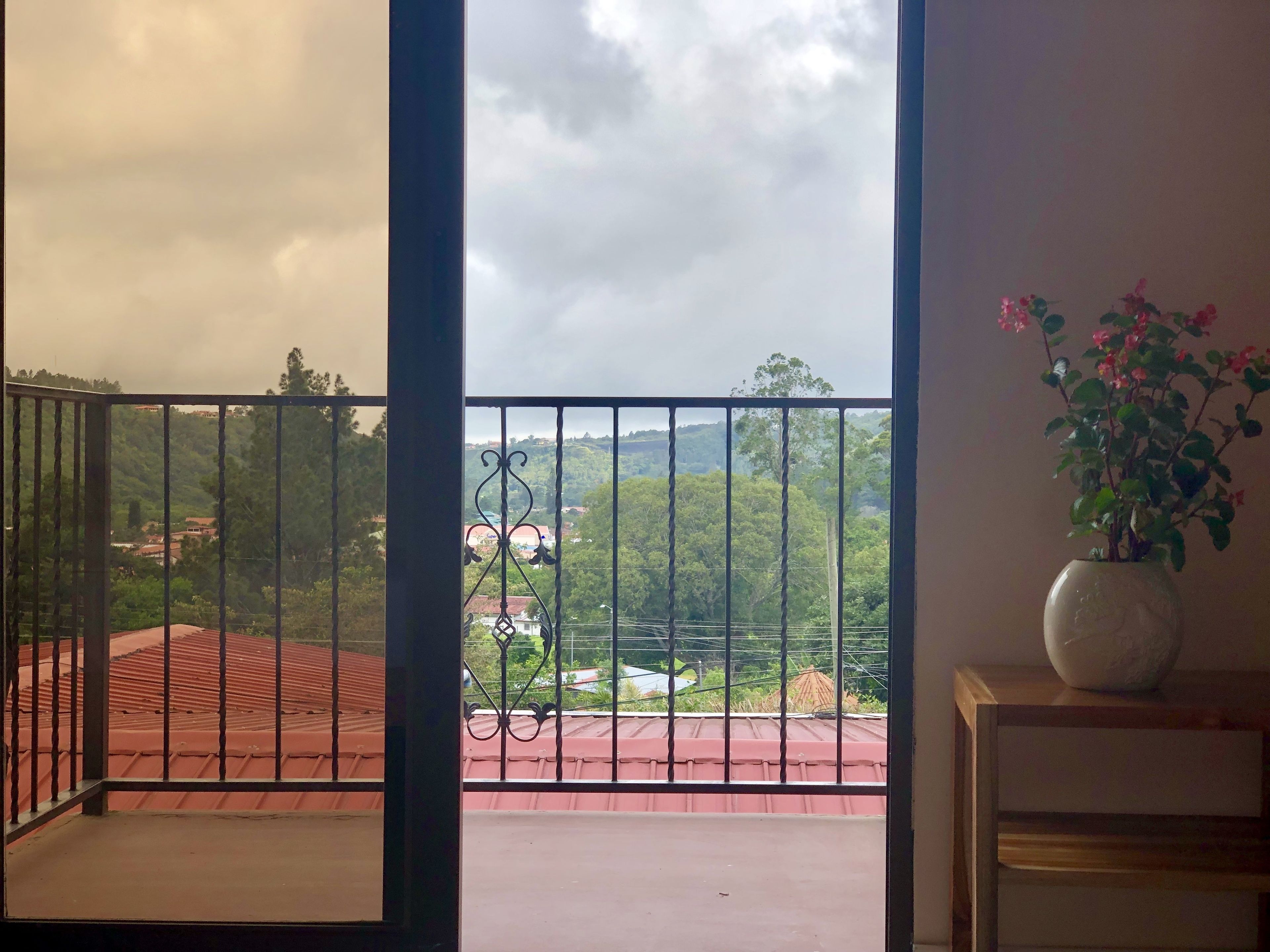 Ein Balkon mit Metallgeländer, einem Blumentopf und Blick auf ein Gebäude mit rotem Dach und Grünflächen.