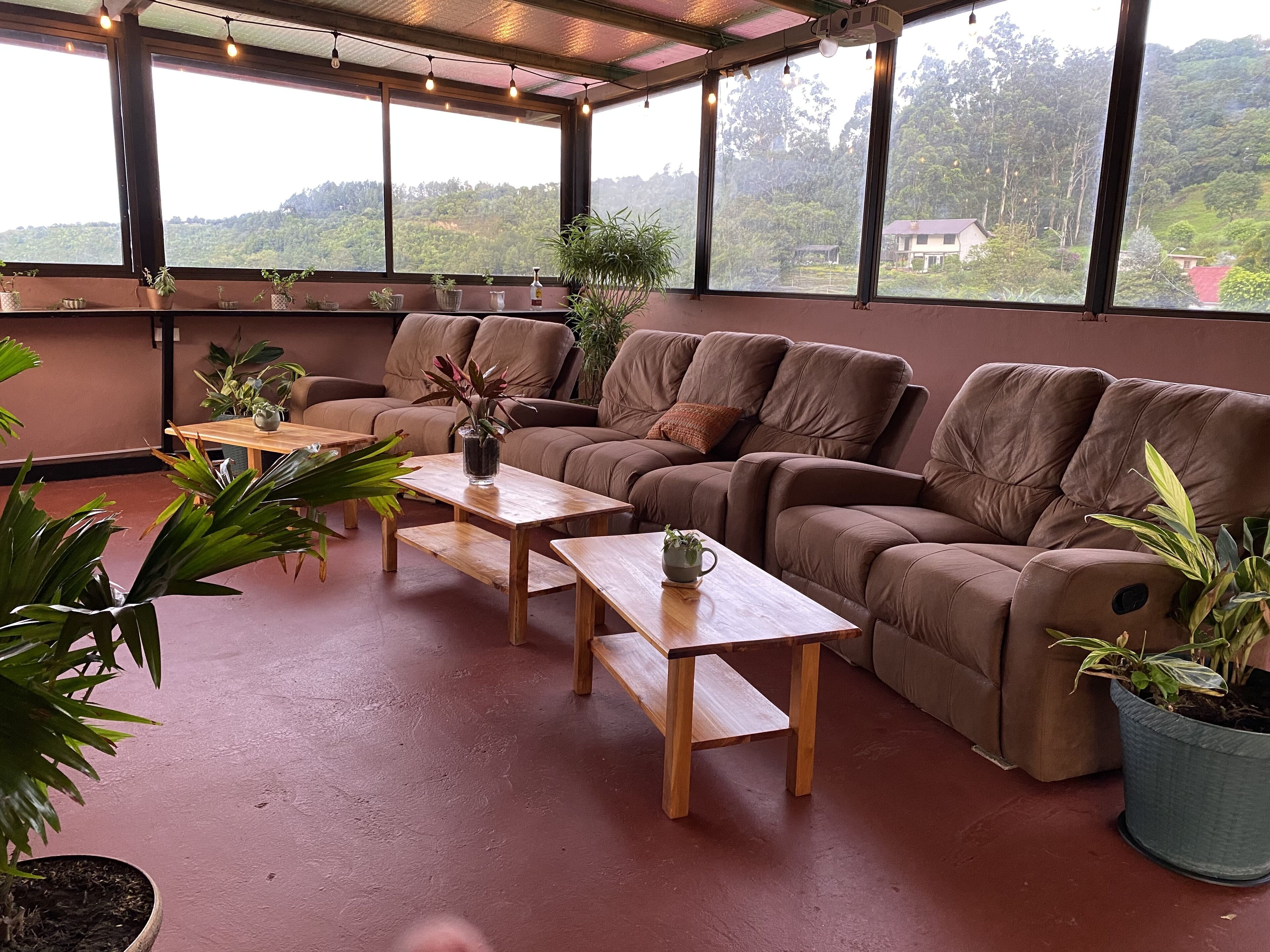 A spacious room with large windows, a brown leather sofa, wooden tables, and potted plants.