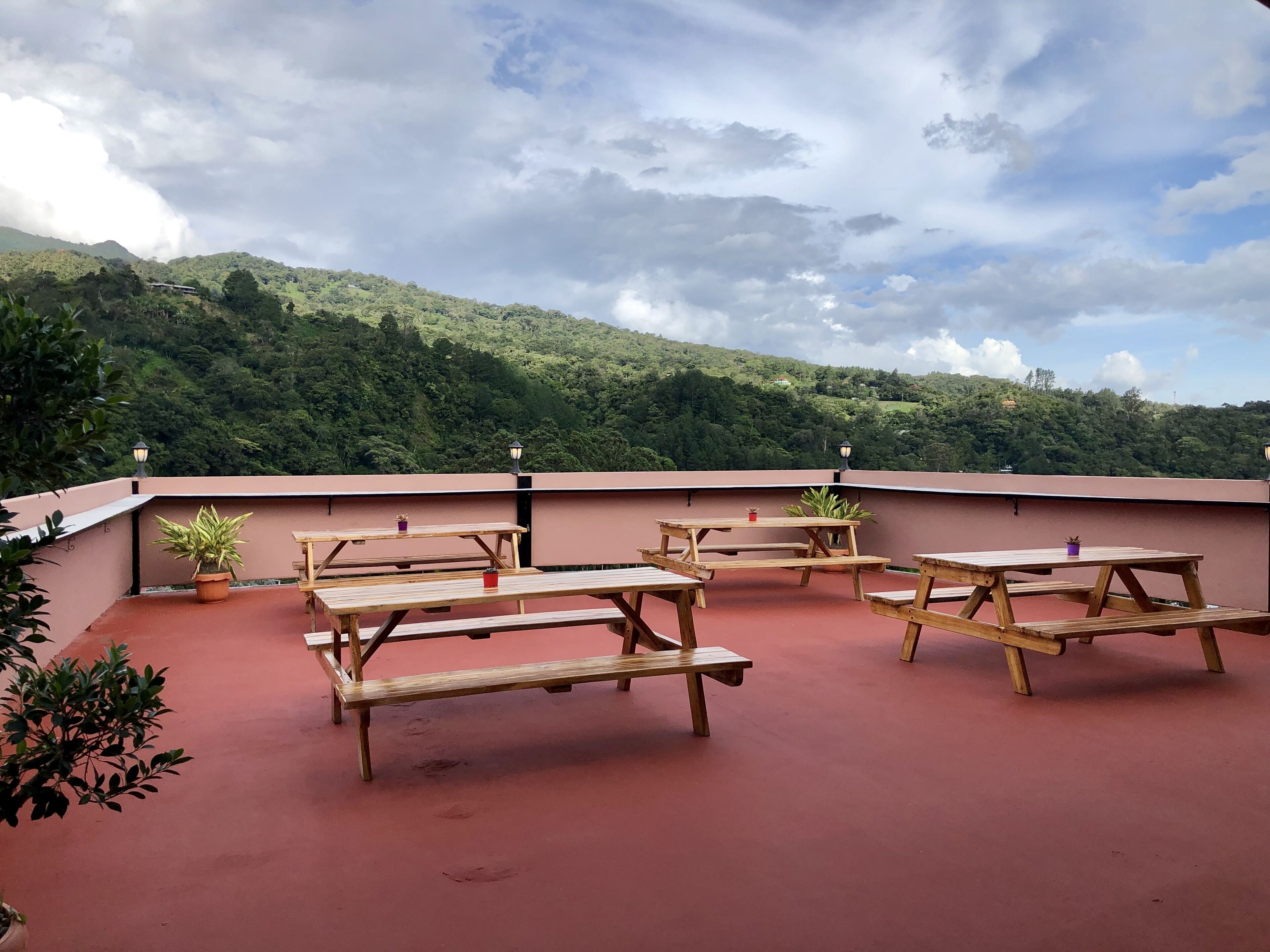 Una terraza en la azotea con mesas de picnic de madera y plantas en macetas, con vistas a una verde ladera.